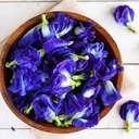 Butterfy Pea Tea (teapot)