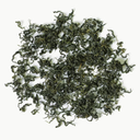Seven Leaves Ginsen Green Tea (teapot)